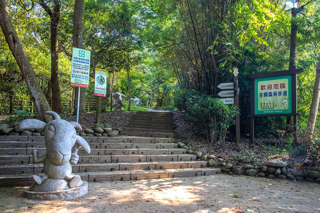 森林散步中，毛孩友善步道 _ 桃園｜羊稠坑森林步道 (Pet Journey 寵旅誌 Vol.04)