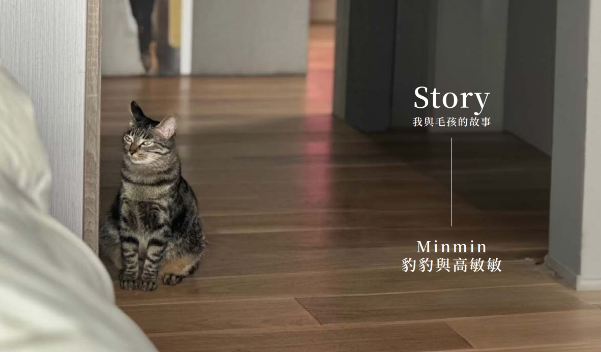 我與毛孩的故事 - 豹豹與 Minmim高敏敏 (Pet Journey 寵旅誌 Vol.01)