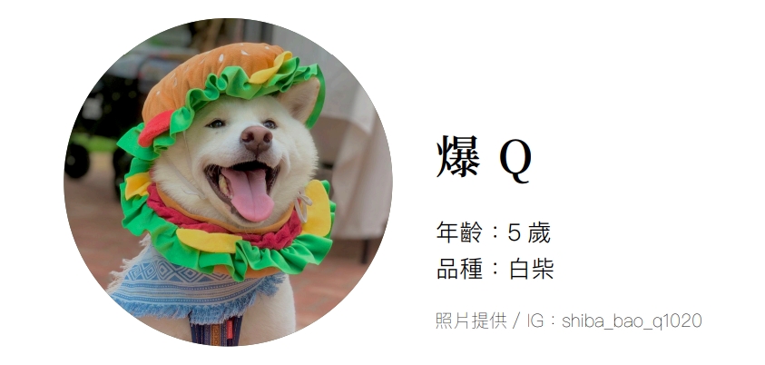 我與毛孩的故事 _ 爆 Q (Pet Journey 寵旅誌 Vol.09)