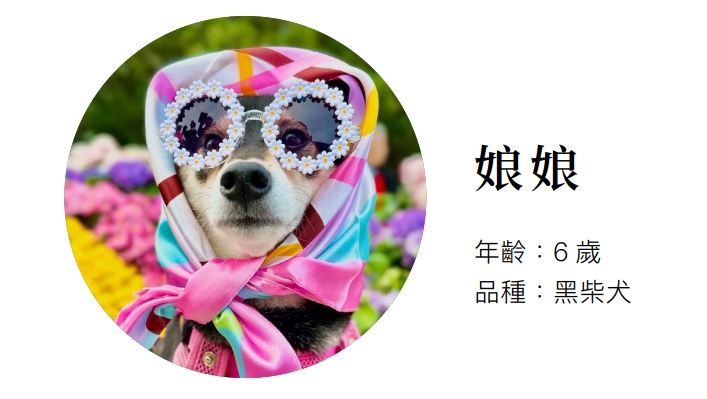Story 我與毛孩的故事 - 娘娘 (Pet Journey 寵旅誌 Vol.11)