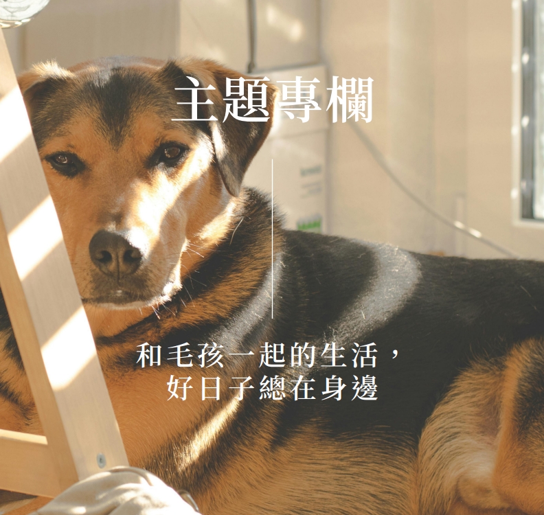 和毛孩一起的生活，好日子總在身邊  (Pet Journey 寵旅誌 Vol.02)