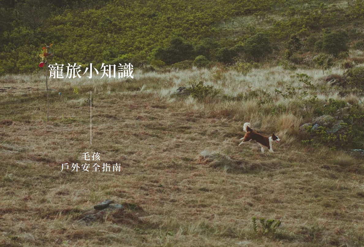 寵旅小知識：毛孩戶外安全指南全攻略 (Pet Journey 寵旅誌 Vol.01)