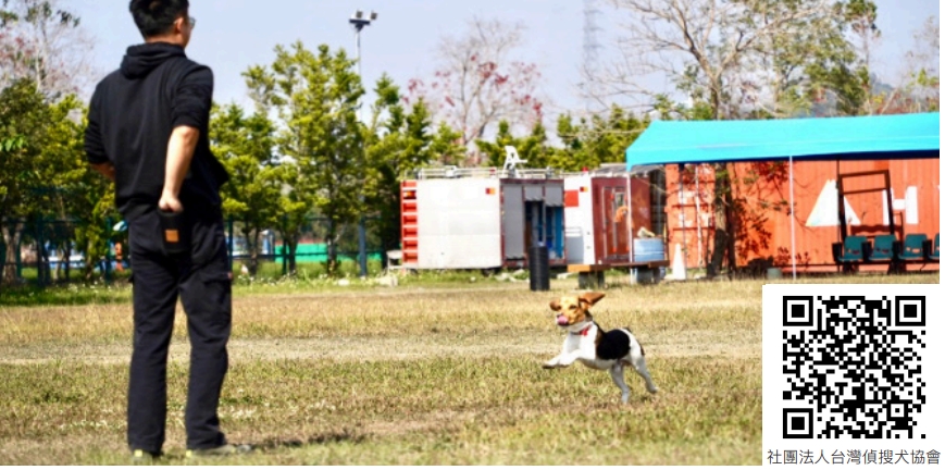 鋼鐵廢墟中的濕潤鼻尖：台灣偵搜犬與領犬員的生命接力