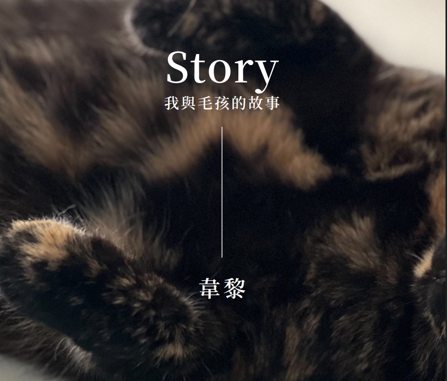 我與毛孩的故事 _ 韋黎 (Pet Journey 寵旅誌 Vol.07)