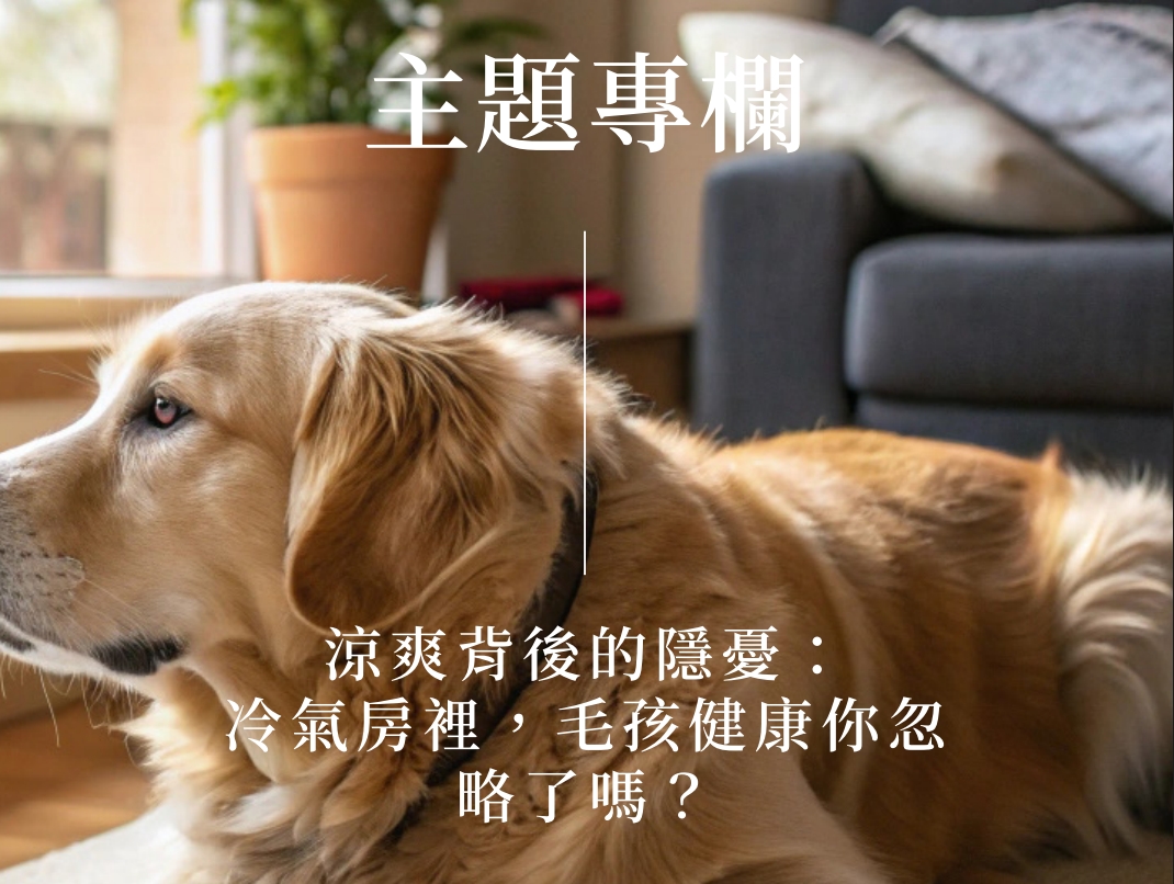 涼爽背後的隱憂：
冷氣房裡，毛孩健康你忽
略了嗎？  (Pet Journey 寵旅誌 Vol.05)