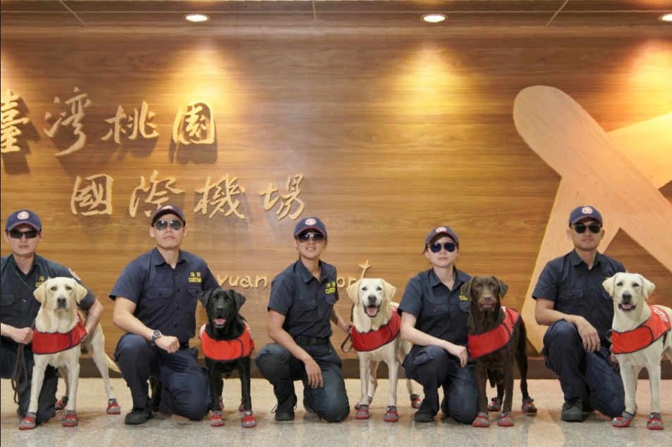 嗅覺超群的無聲守護者：機場緝毒犬的一天  (Pet Journey 寵旅誌 Vol.06)