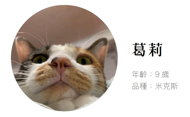 我與毛孩的故事 _ 酷酷 (Pet Journey 寵旅誌 Vol.08)