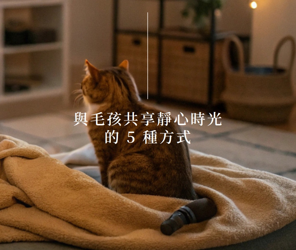 與毛孩共享靜心時光的5種方式 (Pet Journey 寵旅誌 Vol.03)