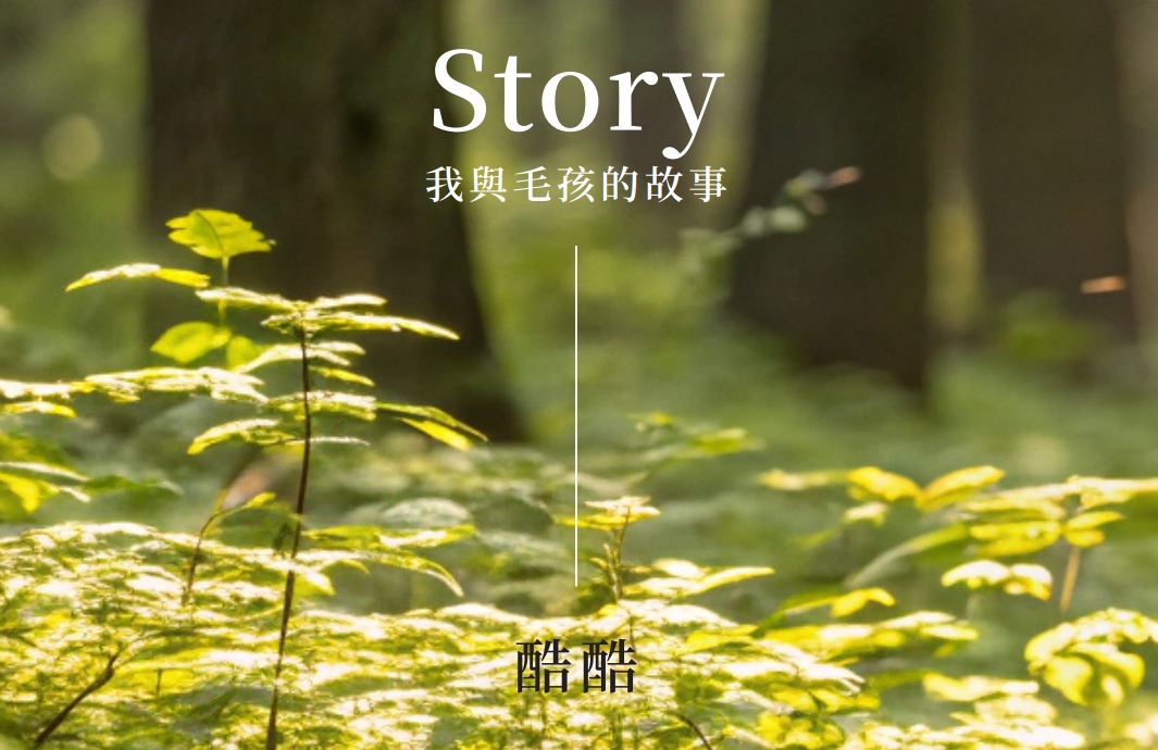 我與毛孩的故事 _ 酷酷 (Pet Journey 寵旅誌 Vol.05)