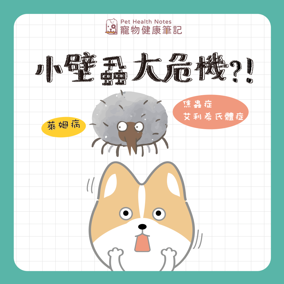 小壁蝨，大危機 ? !