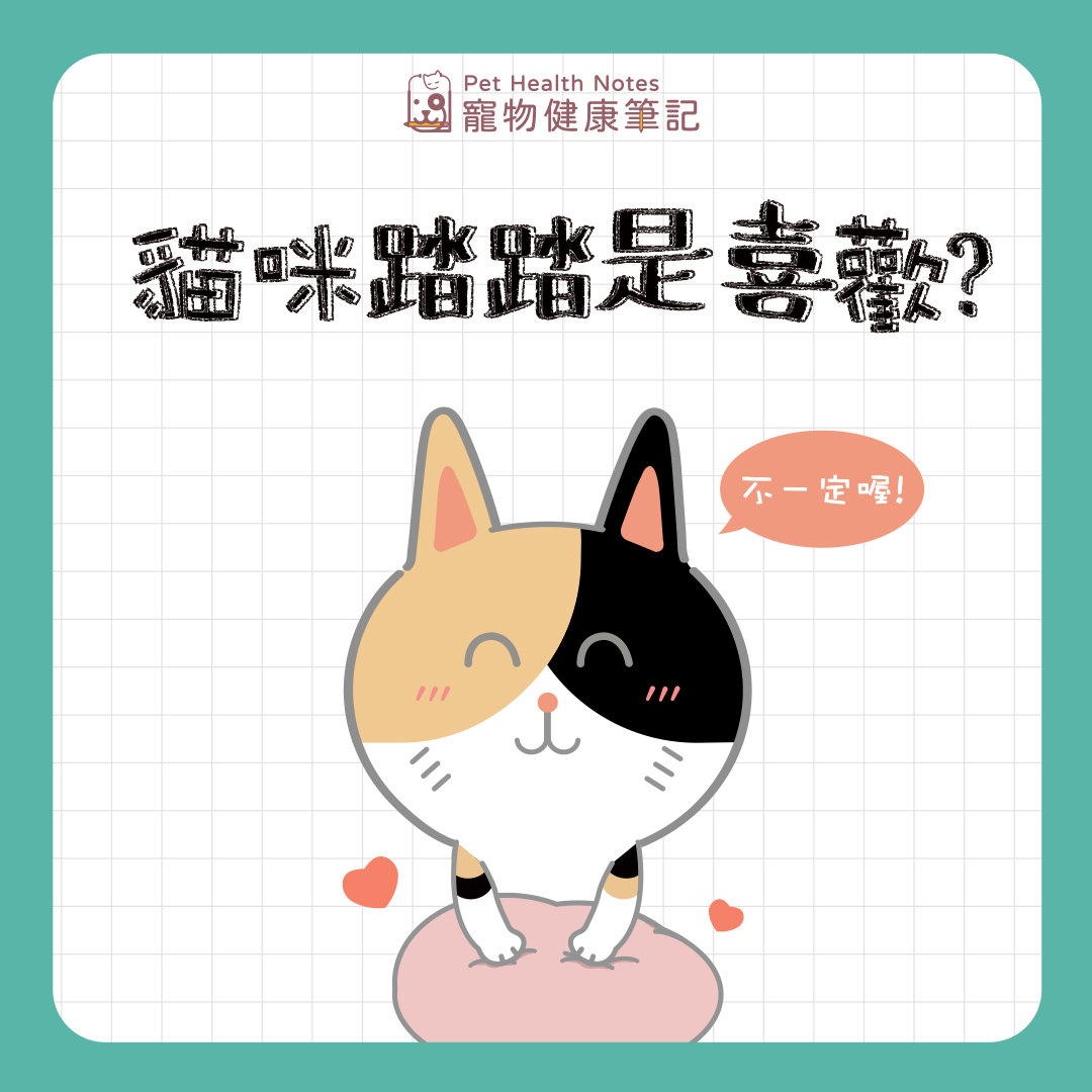 貓咪踏踏是喜歡？