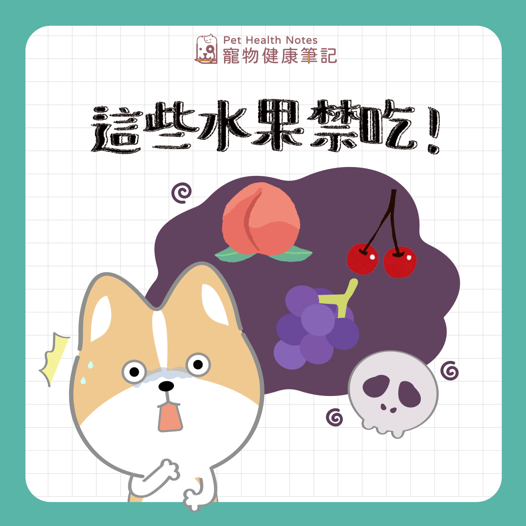 這些水果對毛孩有毒 !