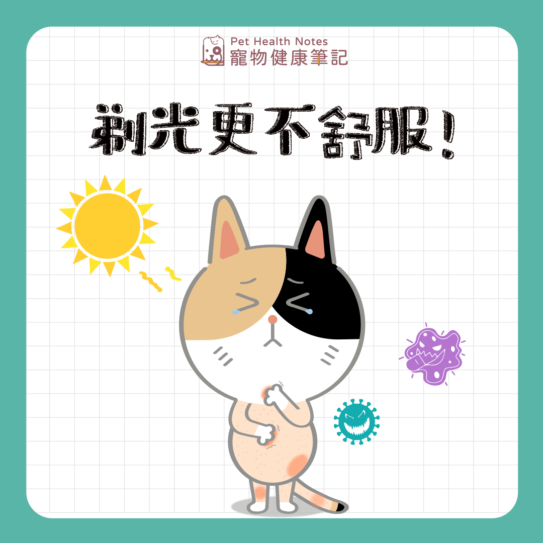 毛孩光溜溜更不舒服！
