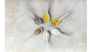 貓狗適合的魚油劑型選擇？一次瞭解軟膠囊、粉劑、液態的優缺點！