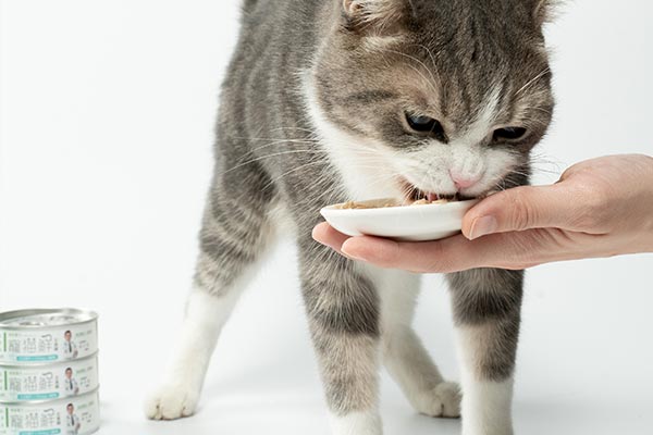 嬌寵醫生【寵貓鮮】低磷主食罐：腎臟保健、高營養，貓咪的健康首選！